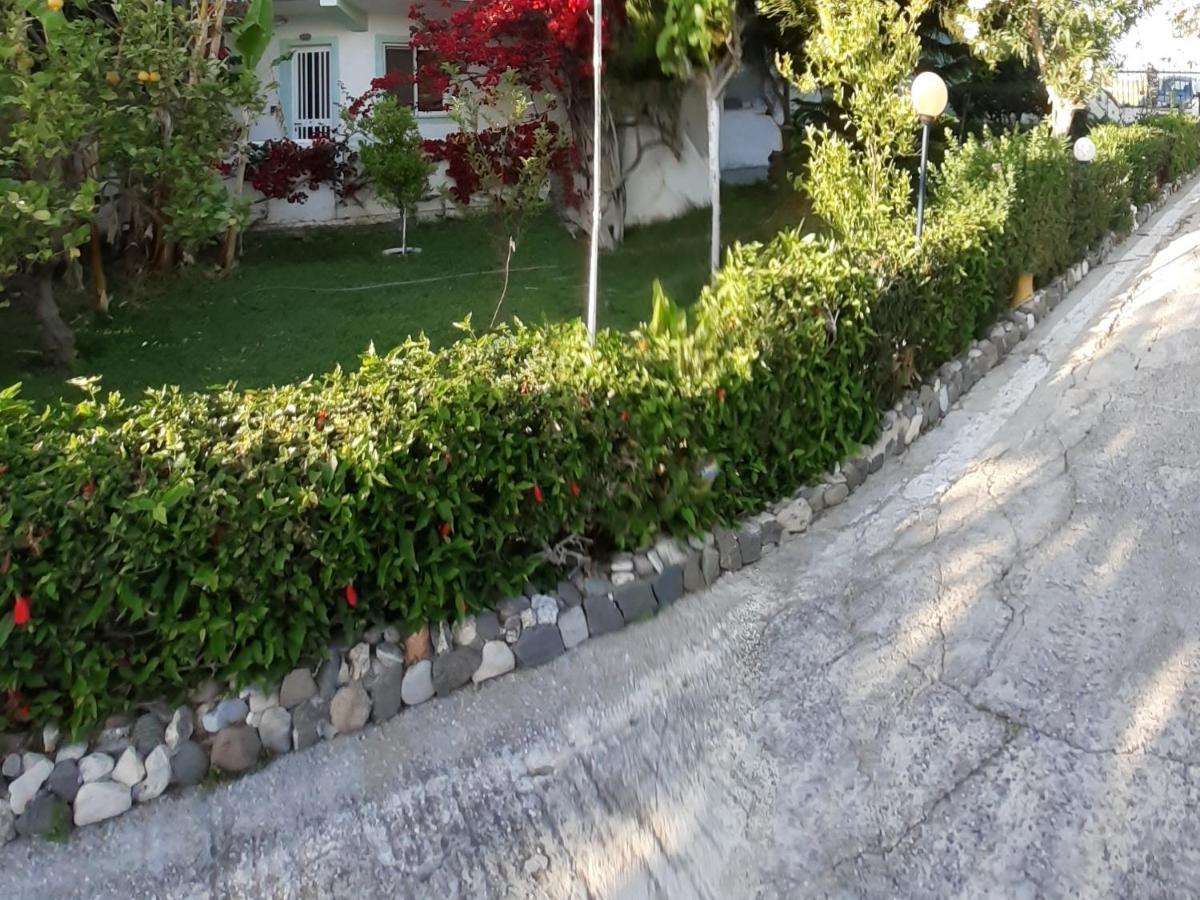 Zikas Apartments Marmari  Buitenkant foto